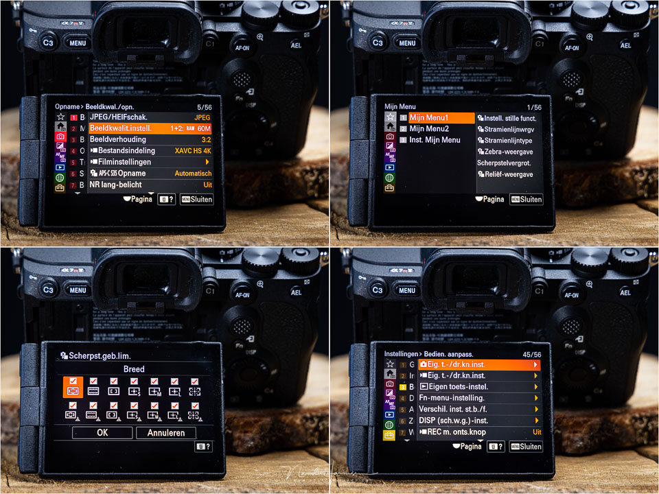 Nando sony a7rv menu impressie