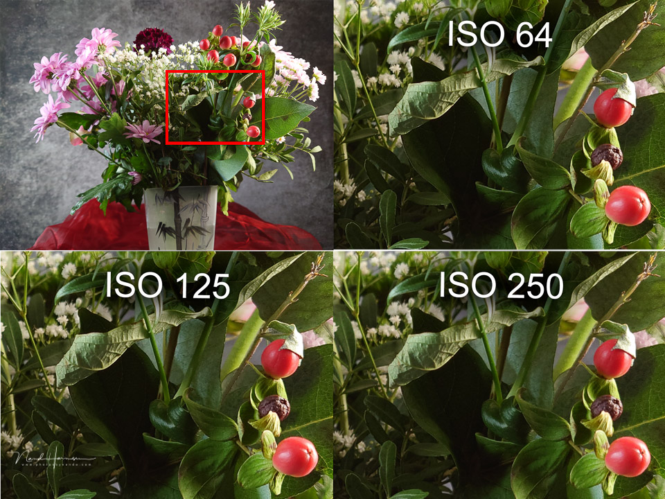 Nando sony xperia5III ISO 1 Nando sony xperia5III ISO 1