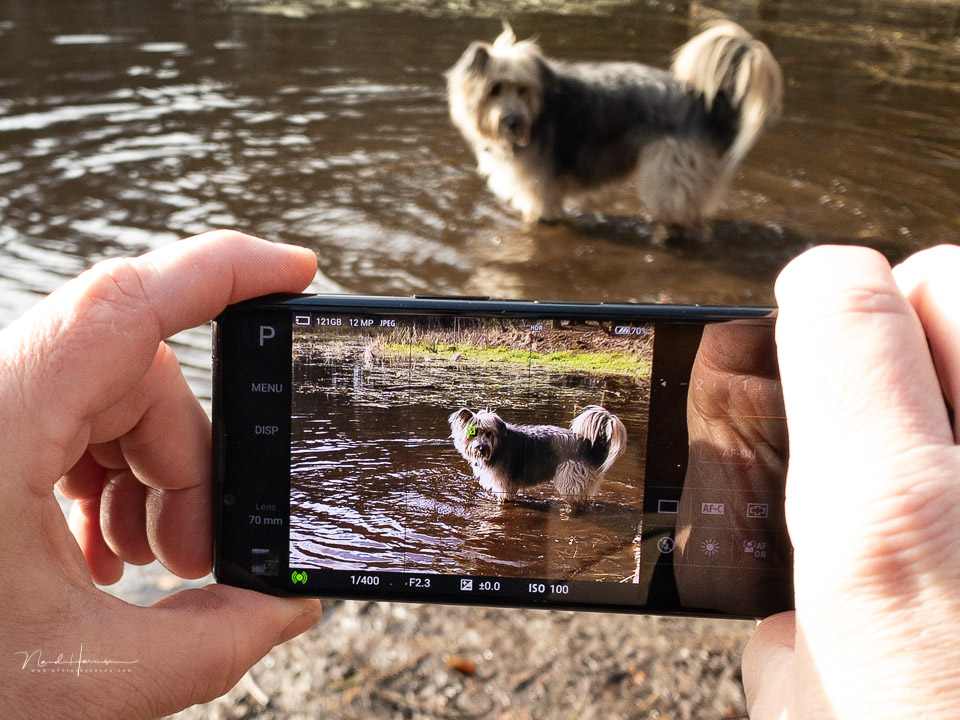 Nando sony xperia5III in gebruik