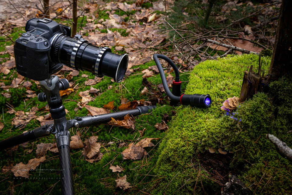 Nando steinheil macro quinar 6