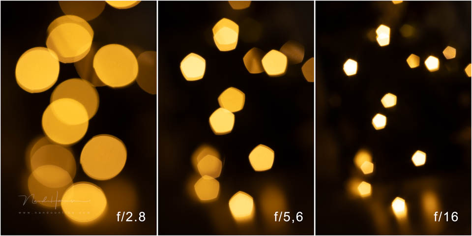 Nando steinheil macro quinar 8