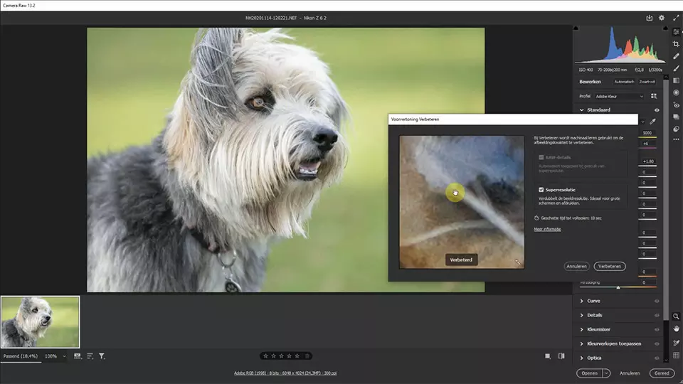 Superresolutie in Adobe Camera Raw, een screenshot uit de video die ik voor Photofacts heb opgenomen.