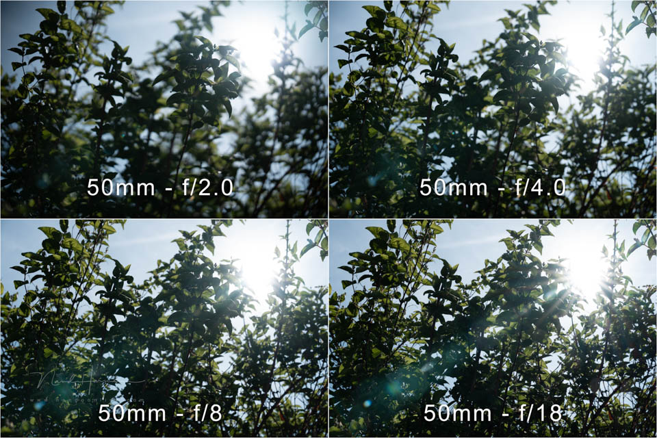 Nando testjes FE50 150GM 4 Nando testjes FE50 150GM 4