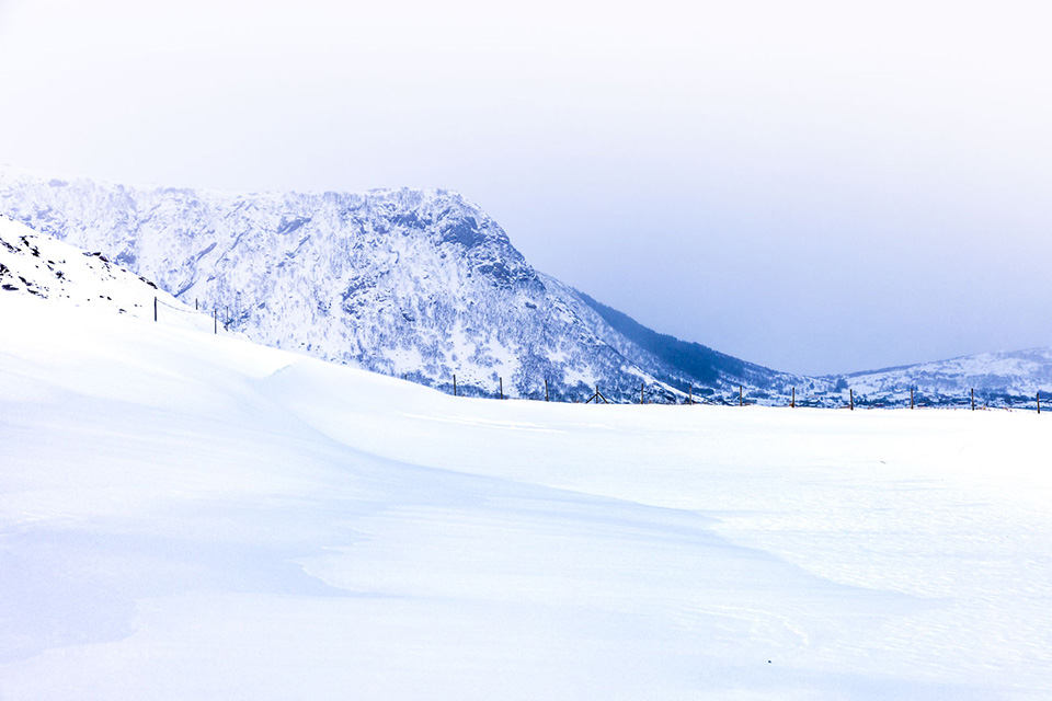 Nando winter scenery 4 Nando winter scenery 4