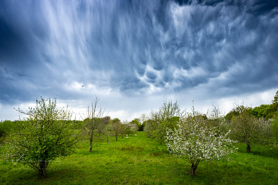 Nando wolken superhard