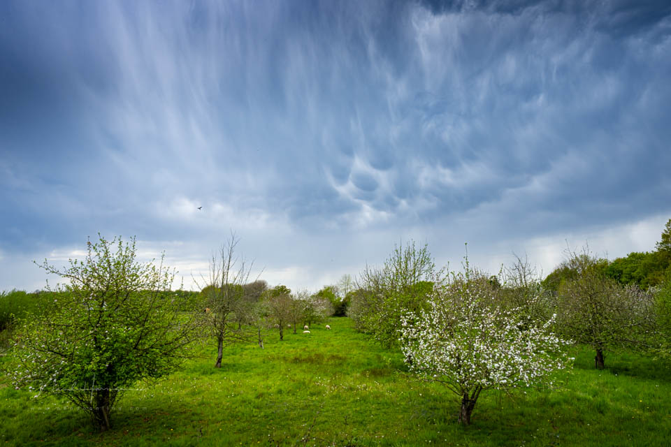 Nando wolken zacht
