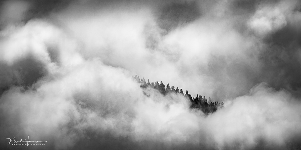 Nando zwartwit bergen wolken