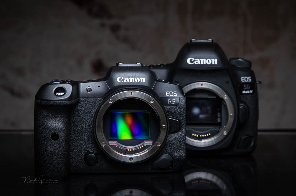 Nando 2020 eos dslr ml