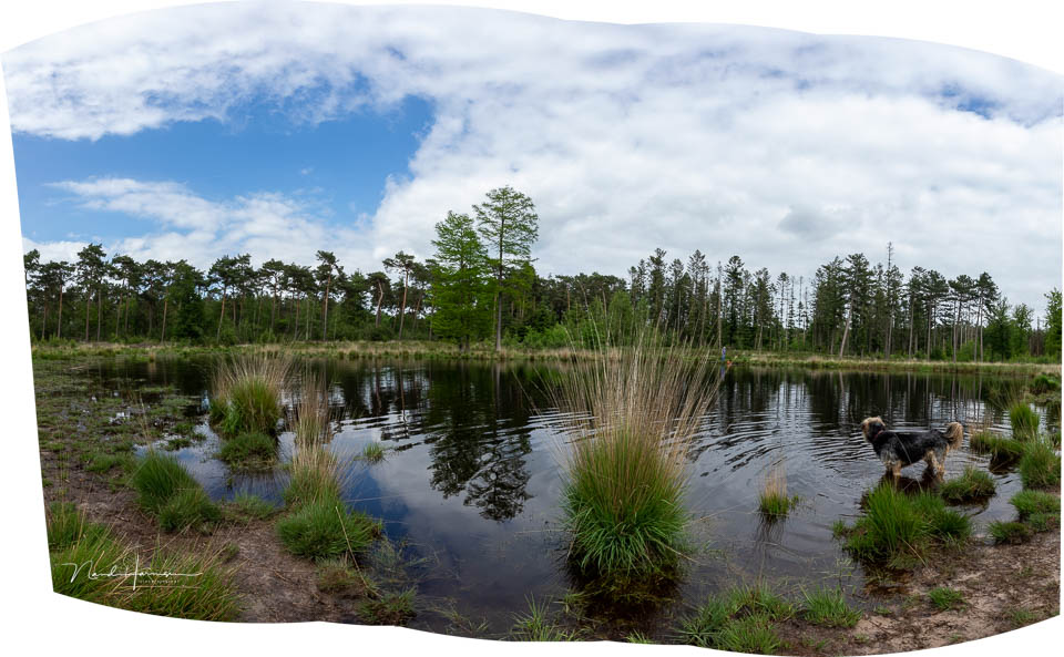 Nando beweging in panorama