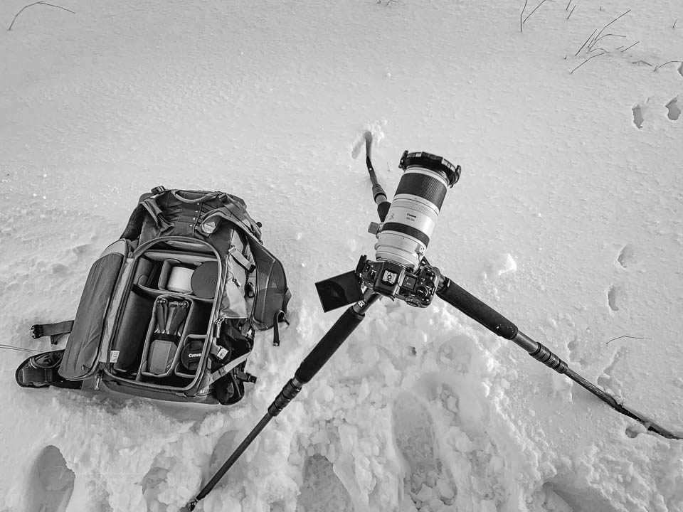 Nando fotorugzak sneeuw