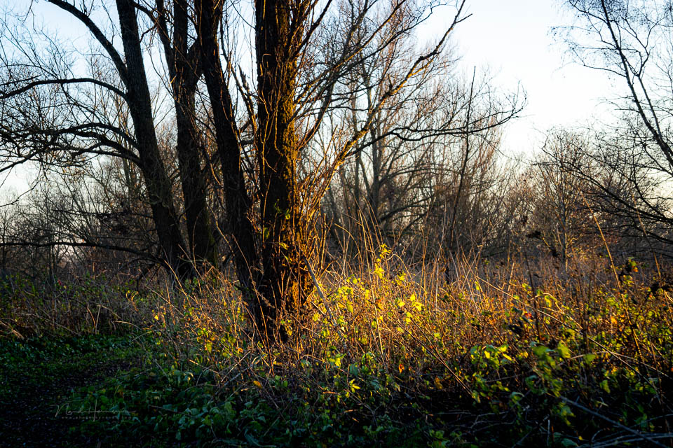 Nando helios 44 beelden 13