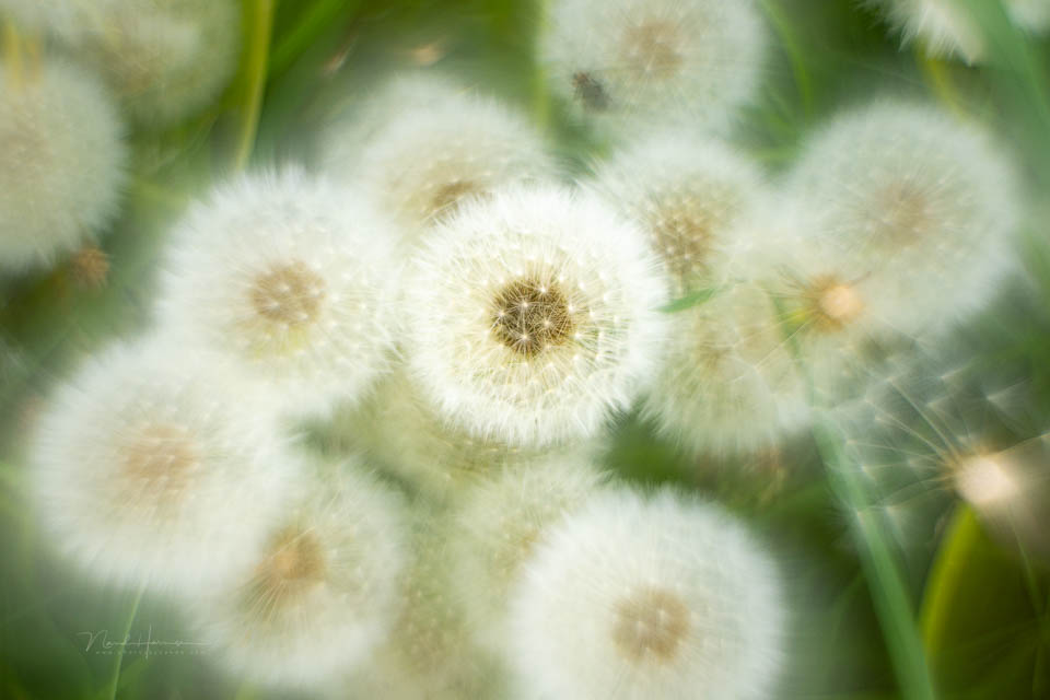 Nando helios 44 beelden 3