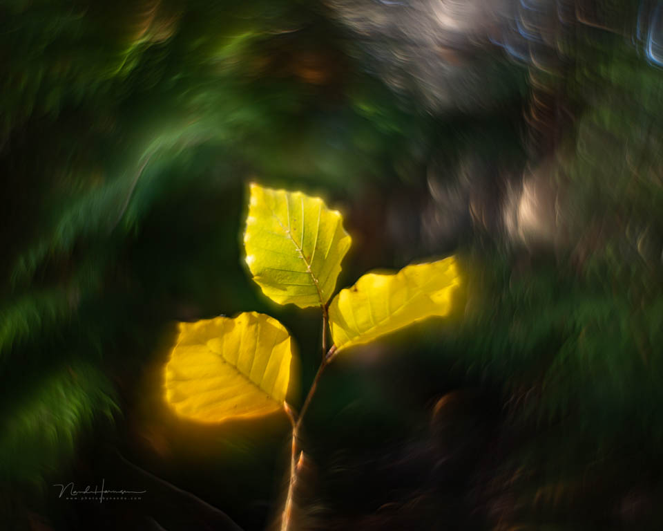 Nando helios 44 beelden 7