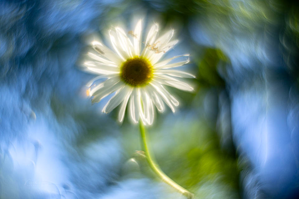 Nando helios 44 beelden 8