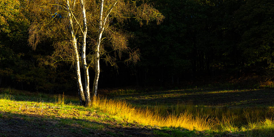 Nando landschap in hard licht