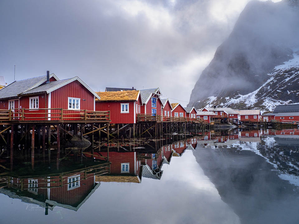 Nando lofoten 2026 olympus 16 Nando lofoten 2026 olympus 16