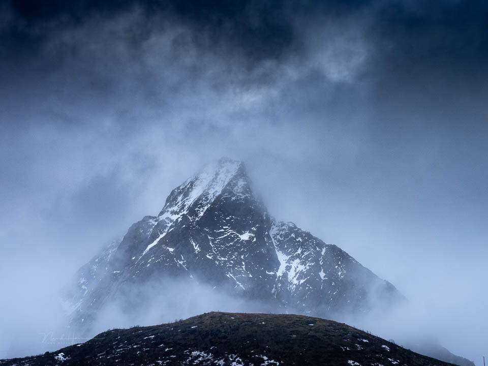 Nando lofoten 2026 olympus 17 Nando lofoten 2026 olympus 17