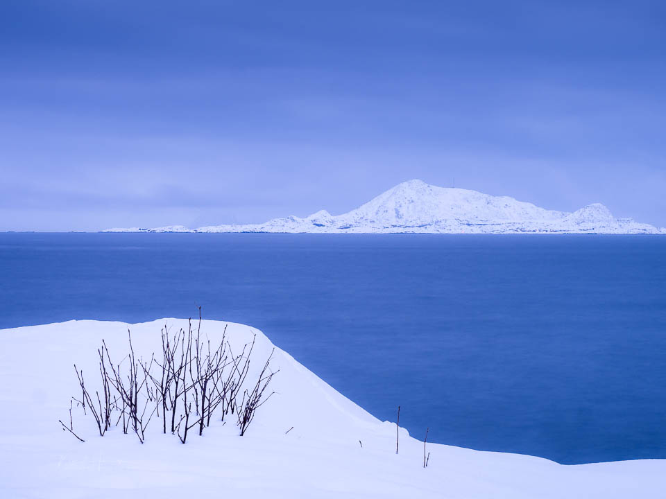 Nando lofoten 2026 olympus 2 Nando lofoten 2026 olympus 2