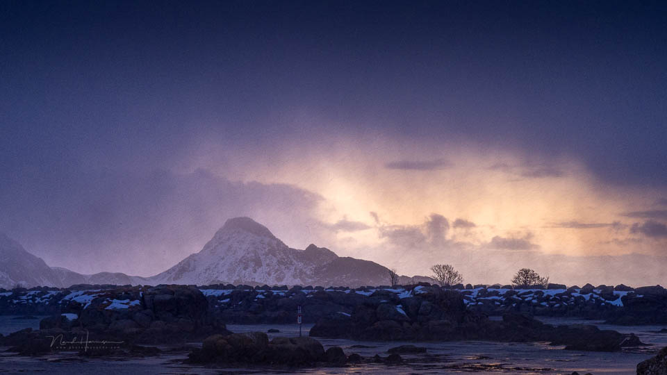 Nando lofoten 2026 olympus 4 Nando lofoten 2026 olympus 4