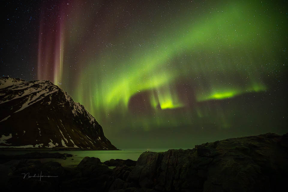 Nando lofoten noorwegen 3