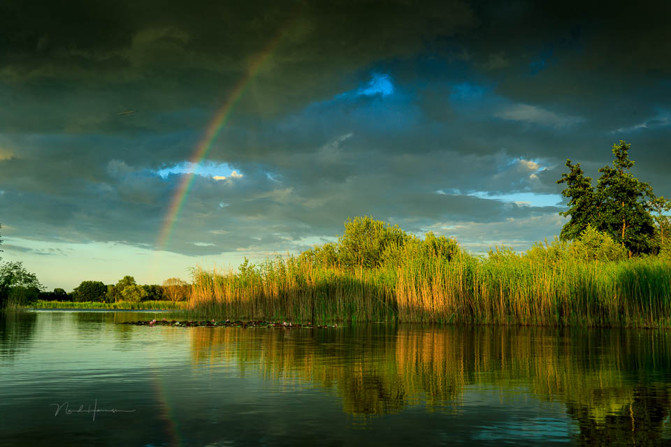 Nando na de regen regenboog