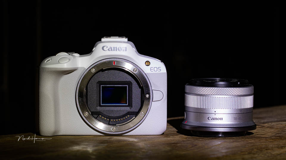 Canon EOS R50 Canon EOS R50
