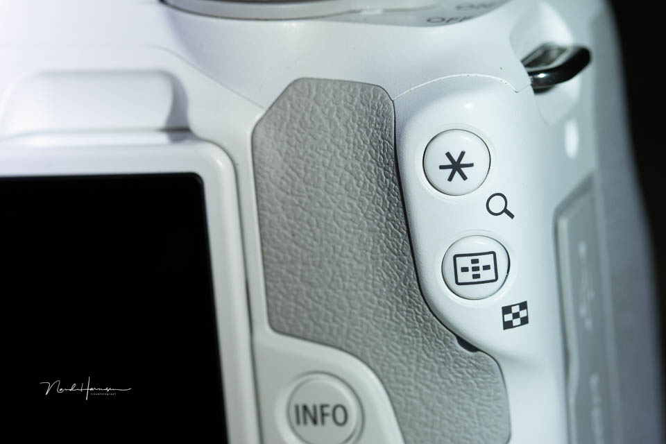 Nando nando canon eos r50 21 Nando nando canon eos r50 21