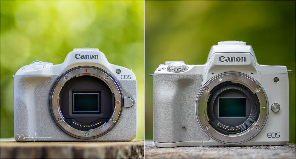 Nando nando canon eos r50 Nando nando canon eos r50