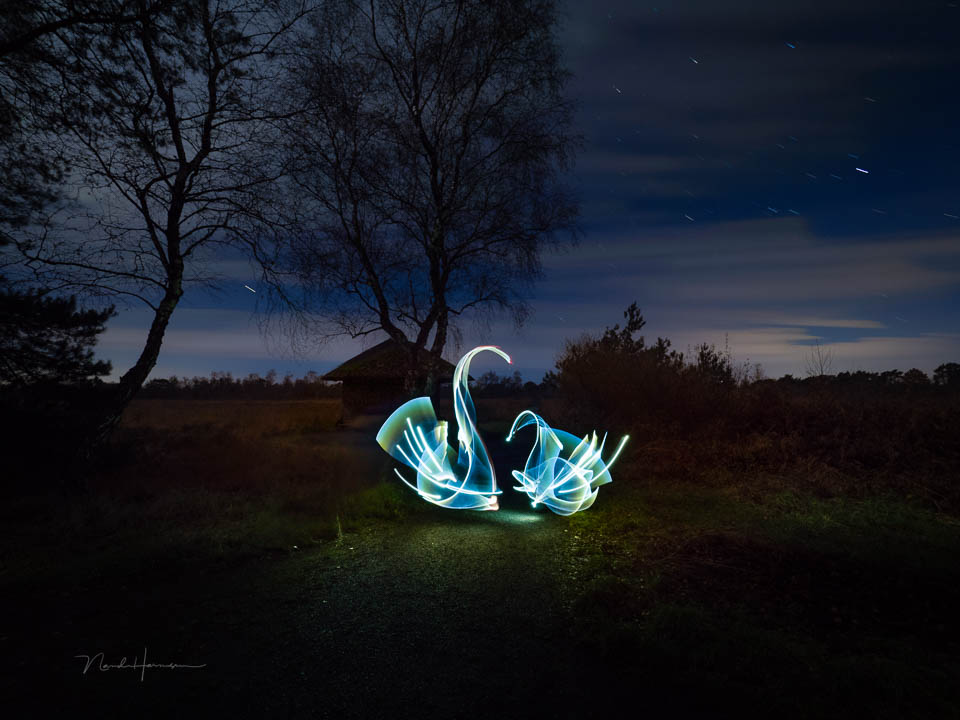 Nando nando lightpainting zwanen