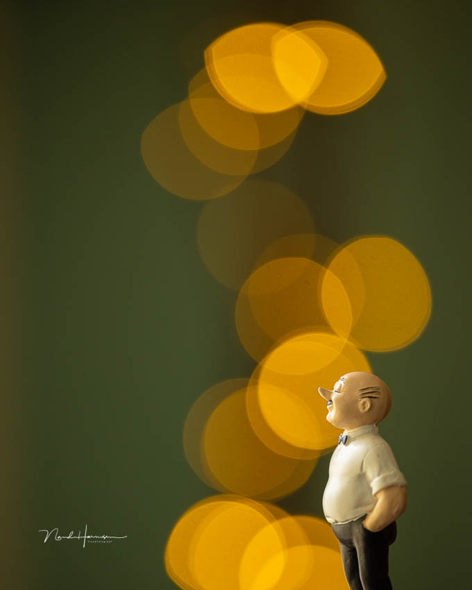 Nando nando rf100 300L bokeh Nando nando rf100 300L bokeh