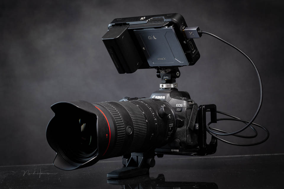 Nando rf24 105mm28L review 7 Nando rf24 105mm28L review 7