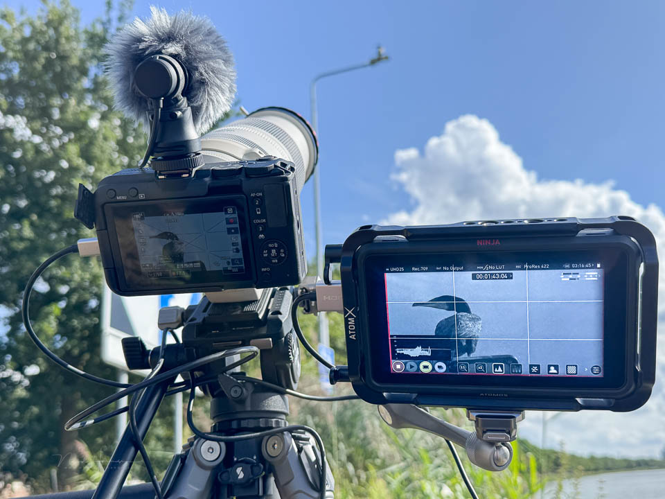 Nando smallrig PJ tribex SE atomos