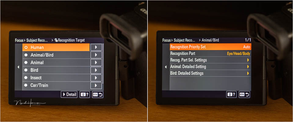 Nando sony a6700 af menu