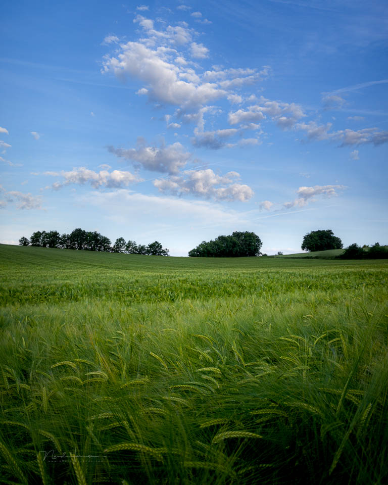 Nando tarn 2025 graanveld Nando tarn 2025 graanveld