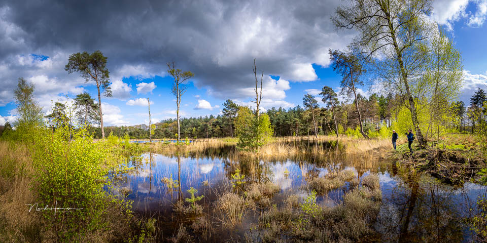 Nando workshop regte heide