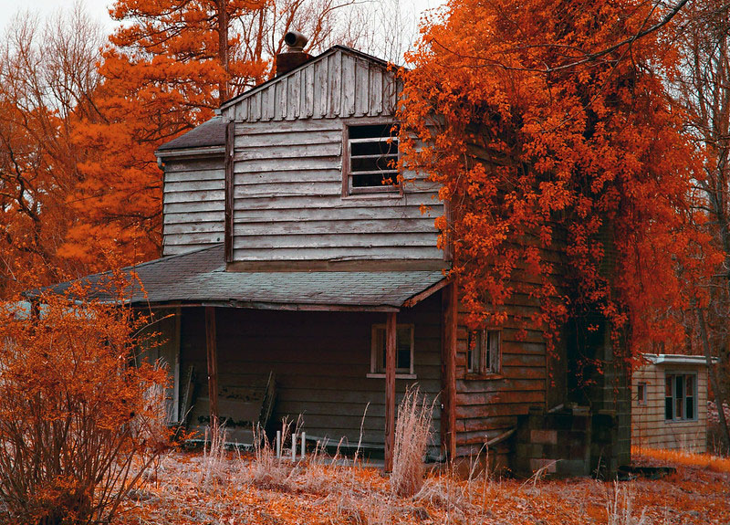 Neil simms cabin ir