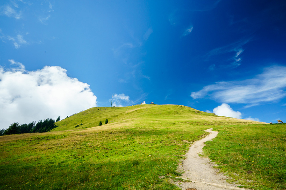 Not use pola landscapes image 03 Not use pola landscapes image 03