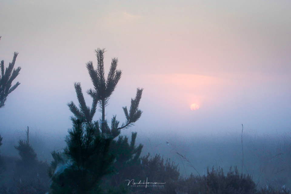 Zonsopkomst verstoord Zonsopkomst verstoord