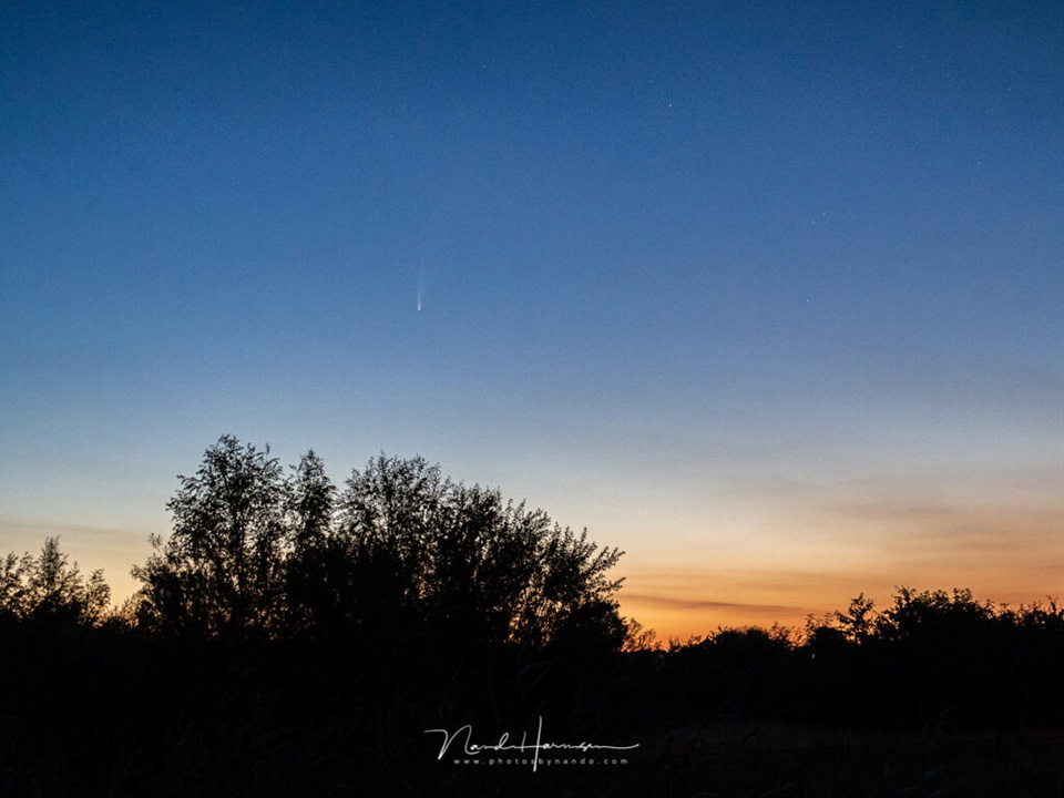 neowise in de ochtendschemering, een uur voor zonsopkomst neowise in de ochtendschemering, een uur voor zonsopkomst