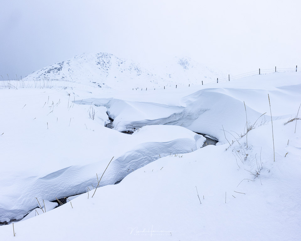 nando lofoten fotografie