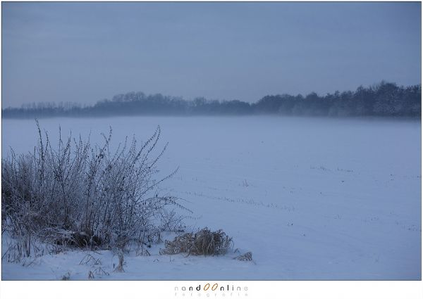 Sneeuw landschap 0ev