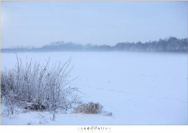 Sneeuw landschap 13ev