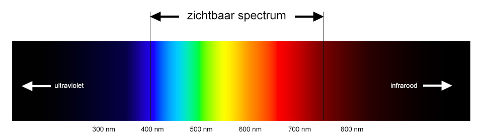 Spectrum door nando