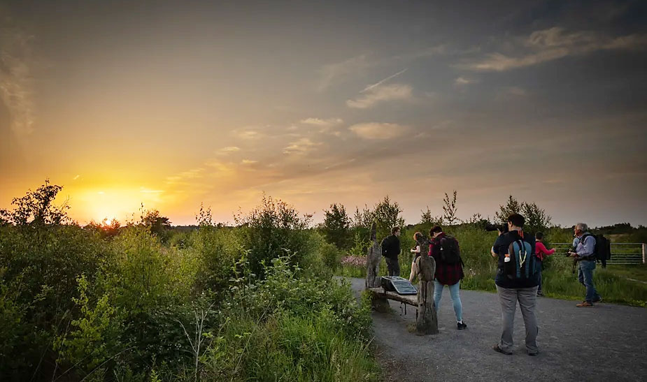 Workshop natuur door nando