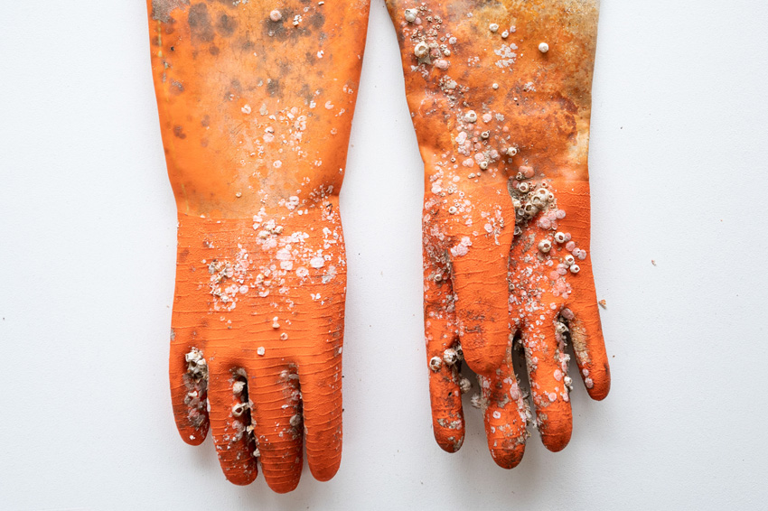 Â© Alessandro Gandolfi, Italy, 3rd Place, Professional competition, Still Life, Sony World Photography Awards 2025   2