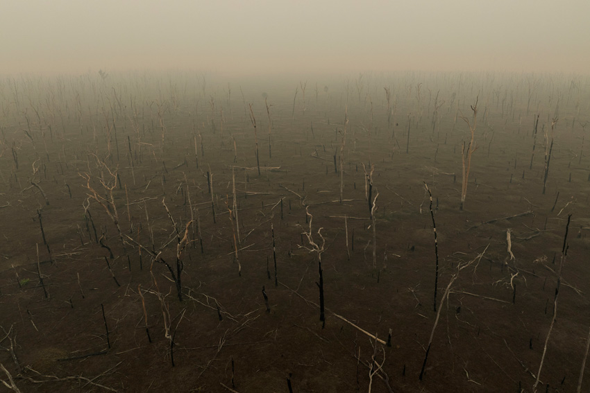 Â© Lalo de Almeida, Brazil, 2nd Place, Professional competition, Landscape, Sony World Photography Awards 2025   7