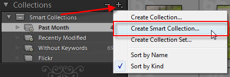 Lightroom Smart Collections