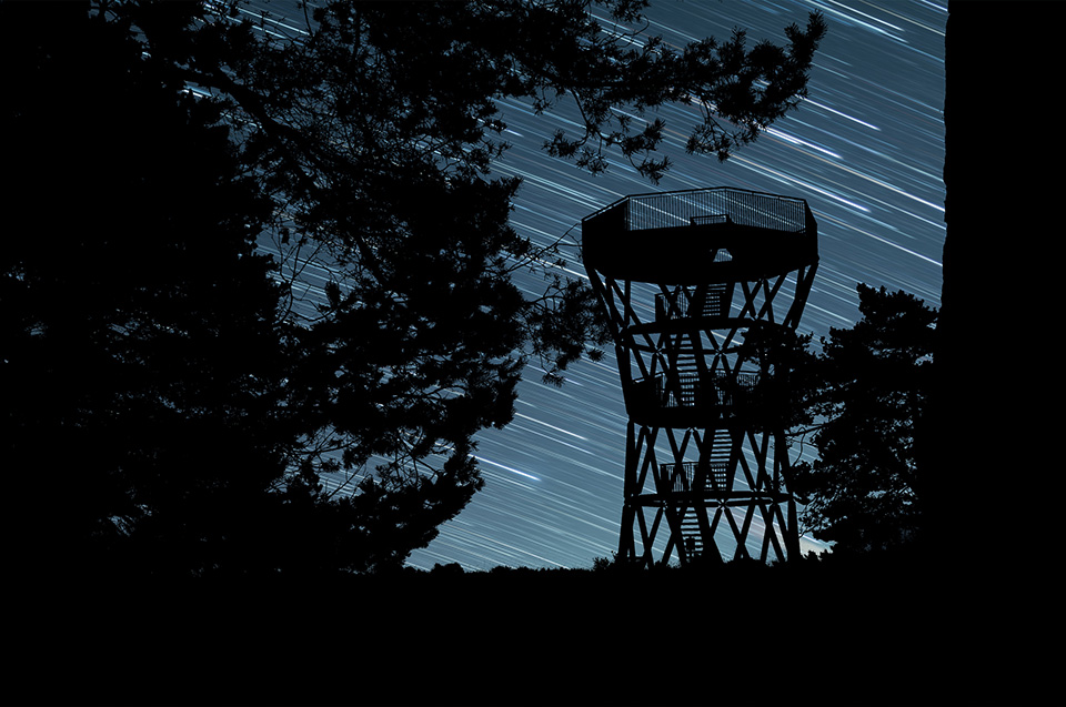 Natuur in de nacht Natuur in de nacht