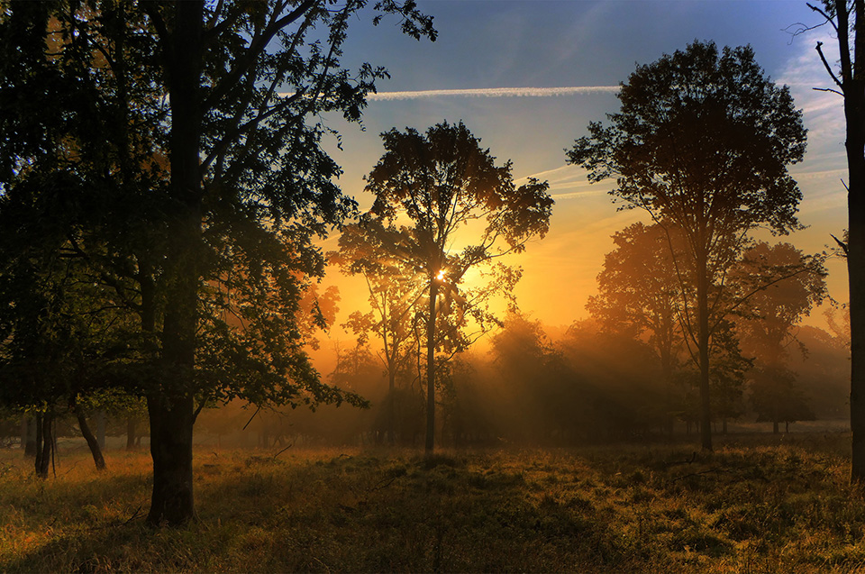 Tegen de zon in