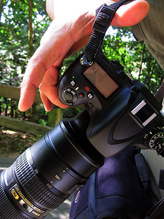 Nikon D600 D600 2